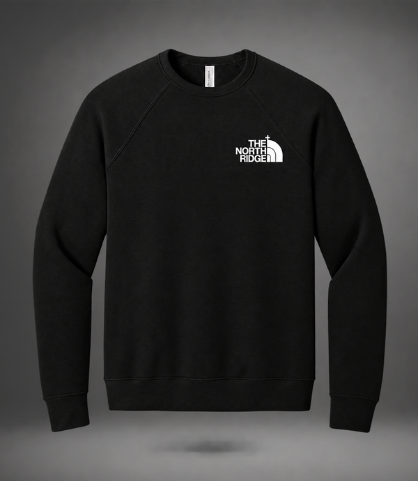 Youth Sponge Fleece Raglan Sweatshirt